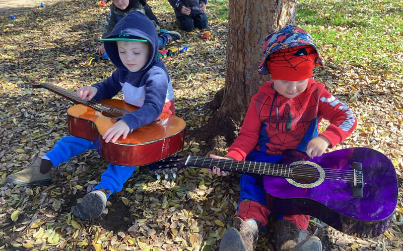 Guitars